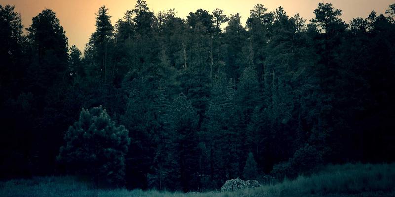 从钢材疲劳性能到使用寿命：新余明钢材如何为工程机械与车辆底盘注入“耐久基因”