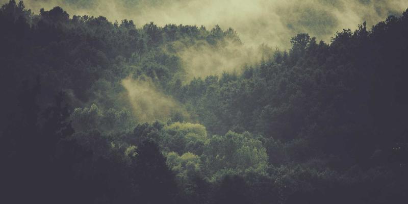 新余明钢材采购全攻略：如何精准选择批发渠道与优质供应商