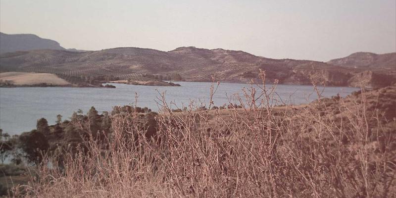 赋能绿色能源：新余明钢材如何为风电塔筒与光伏支架提供卓越材料解决方案